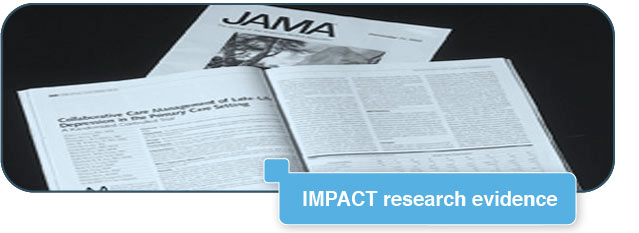 IMPACT research evidence
